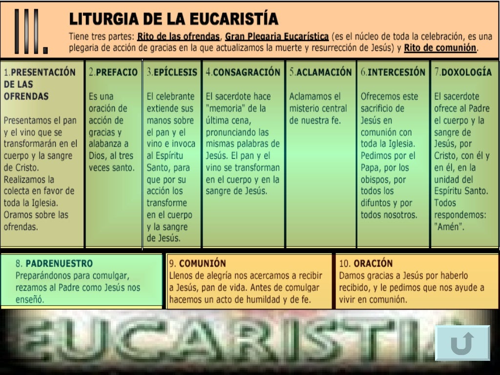 La EucaristÍa Y Sus Partes La EucaristÍa Y Sus Partes