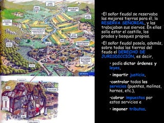 El señor feudal se reservaba las mejores tierras para él, la  RESERVA SEÑORIAL , y las trabajaban sus siervos. En ellas solía estar el castillo, los prados y bosques propios. El señor feudal poseía, además, sobre todas las tierras del feudo el  DERECHO DE JURISDICCIÓN , es decir, podía  dictar órdenes y  leyes , impartir  justicia ,  controlar  todos  los  servicios  (puentes, molinos, hornos, etc.),  cobrar  impuestos  por estos servicios e imponer  tributos . 