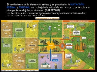 El rendimiento de la tierra era escaso y se practicaba la  ROTACIÓN BIENAL  y  TRIENAL : se trabajaba la mitad de las tierras  o un tercio y la otra parte se dejaba en descanso (BARBECHO).  Las técnicas e instrumentos agrícolas eran muy rudimentarios: azadas, hoces, rastrillos y sencillos arados. 