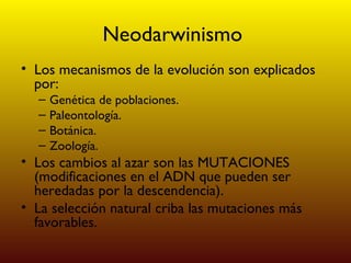 Neodarwinismo  Los mecanismos de la evolución son explicados por: Genética de poblaciones. Paleontología. Botánica. Zoología. Los cambios al azar son las MUTACIONES (modificaciones en el ADN que pueden ser heredadas por la descendencia). La selección natural criba las mutaciones más favorables. 