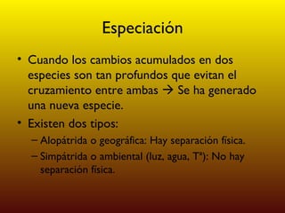 Especiación Cuando los cambios acumulados en dos especies son tan profundos que evitan el cruzamiento entre ambas    Se ha generado una nueva especie. Existen dos tipos: Alopátrida o geográfica: Hay separación física. Simpátrida o ambiental (luz, agua, Tª): No hay separación física. 