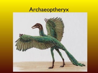 Archaeoptheryx 