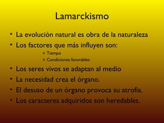 Lamarckismo La evolución natural es obra de la naturaleza Los factores que más influyen son: Tiempo Condiciones favorables Los seres vivos se adaptan al medio La necesidad crea el órgano. El desuso de un órgano provoca su atrofia.  Los caracteres adquiridos son heredables. 
