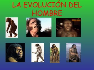 LA EVOLUCIÓN DEL HOMBRE 