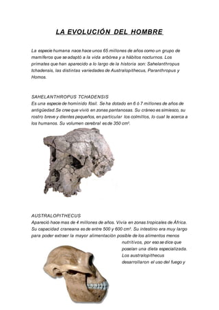 LA EVOLUCIÓN DEL HOMBRE

La especie humana nace hace unos 65 millones de años como un grupo de
mamíferos que se adaptó a la vida arbórea y a hábitos nocturnos. Los
primates que han aparecido a lo largo de la historia son: Sahelanthropus
tchadensis, las distintas variedades de Australopithecus, Paranthropus y
Homos.



SAHELANTHROPUS TCHADENSIS
Es una especie de homínido fósil. Se ha dotado en 6 ó 7 millones de años de
antigüedad.Se cree que vivió en zonas pantanosas. Su cráneo es simiesco, su
rostro breve y dientes pequeños, en particular los colmillos, lo cual le acerca a
los humanos. Su volumen cerebral es de 350 cm3.




AUSTRALOPITHECUS
Apareció hace mas de 4 millones de años. Vivía en zonas tropicales de África.
Su capacidad craneana es de entre 500 y 600 cm3. Su intestino era muy largo
para poder extraer la mayor alimentación posible de los alimentos menos
                                            nutritivos, por eso se dice que
                                            poseían una dieta especializada.
                                            Los australopithecus
                                            desarrollaron el uso del fuego y
 