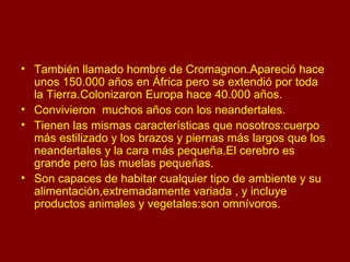 También llamado hombre de Cromagnon.Apareció hace unos 150.000 años en África pero se extendió por toda la Tierra.Colonizaron Europa hace 40.000 años. Convivieron  muchos años con los neandertales. Tienen las mismas características que nosotros:cuerpo más estilizado y los brazos y piernas más largos que los neandertales y la cara más pequeña.El cerebro es grande pero las muelas pequeñas. Son capaces de habitar cualquier tipo de ambiente y su alimentación,extremadamente variada , y incluye productos animales y vegetales:son omnívoros. 