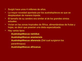 Surgió hace unos 4 millones de años. La mayor novedad aportada por los australopitecos es que se desplazaban de manera bípeda.  El tamaño de su cerebro era similar al de los grandes simios actuales.  Vivían en las zonas tropicales de África, alimentándose de frutas y hojas, es decir que poseían una dieta especializada.  Hay varios tipos:  Australopithecus ramidus Australopithecus anamensis Australopithecus afarensis  (Del cual surgieron los paranthropus) Australopithecus africanus 