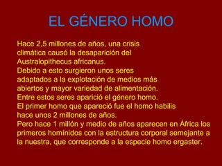 EL GÉNERO HOMO Hace 2,5 millones de años, una crisis climática causó la desaparición del Australopithecus africanus. Debido a esto surgieron unos seres adaptados a la explotación de medios más abiertos y mayor variedad de alimentación. Entre estos seres aparició el género homo. El primer homo que apareció fue el homo habilis hace unos 2 millones de años. Pero hace 1 millón y medio de años aparecen en África los primeros homínidos con la estructura corporal semejante a la nuestra, que corresponde a la especie homo ergaster. 