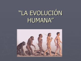 “ LA EVOLUCIÓN HUMANA” 