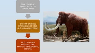 La  Evolución Humana y la Prehistoria