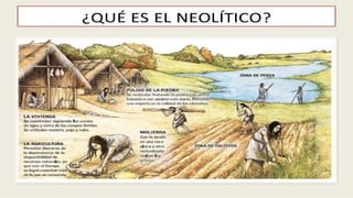 La  Evolución Humana y la Prehistoria