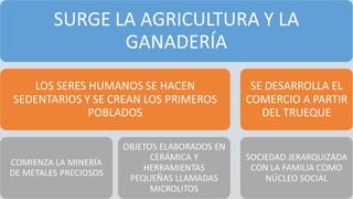 La  Evolución Humana y la Prehistoria