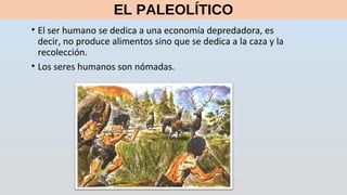 EL PALEOLÍTICO
• El ser humano se dedica a una economía depredadora, es
decir, no produce alimentos sino que se dedica a la caza y la
recolección.
• Los seres humanos son nómadas.
 
