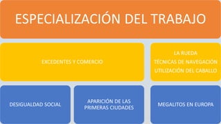 La  Evolución Humana y la Prehistoria
