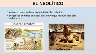 EL NEOLÍTICO
• Aparecen la agricultura, la ganadería y la cerámica.
• Surgen los primeros poblados estables ya que los humanos son
sedentarios.
 