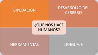 La  Evolución Humana y la Prehistoria