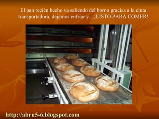 http://abru5-6.blogspot.com El pan recién hecho va saliendo del horno gracias a la cinta transportadora, dejamos enfriar y... ¡LISTO PARA COMER!