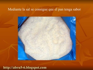 http://abru5-6.blogspot.com Mediante la sal se consigue que el pan tenga sabor 