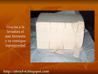 http://abru5-6.blogspot.com Gracias a la levadura el pan fermenta y se consigue esponjosidad 
