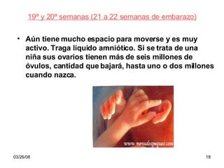 19ª y 20ª semanas (21 a 22 semanas de embarazo) Aún tiene mucho espacio para moverse y es muy activo. Traga líquido amniótico. Si se trata de una niña sus ovarios tienen más de seis millones de óvulos, cantidad que bajará, hasta uno o dos millones cuando nazca. 