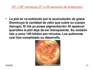 25ª y 26ª semanas (27 a 28 semanas de embarazo) La piel se va estirando por la acumulación de grasa. Disminuye la cantidad de vello que cubre su cuerpo (lanugo). El iris ya posee pigmentación. Al aparecer queratina la piel deja de ser transparente. Su corazón late a unos 140 latidos por minutos. Los pulmones casi han completado su desarrollo. 