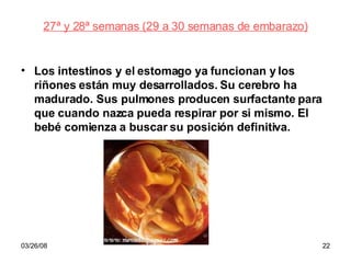 27ª y 28ª semanas (29 a 30 semanas de embarazo) Los intestinos y el estomago ya funcionan y los riñones están muy desarrollados. Su cerebro ha madurado. Sus pulmones producen surfactante para que cuando nazca pueda respirar por si mismo. El bebé comienza a buscar su posición definitiva. 
