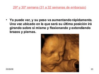 29ª y 30ª semana (31 a 32 semanas de embarazo) Ya puede ver, y su peso va aumentando rápidamente. Una vez ubicado en la que será su última posición irá girando sobre si mismo y flexionando y extendiendo brazos y piernas. 