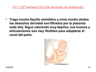 31ª y 32ª semana (33 a 34 semanas de embarazo) Traga mucho liquido amniótico y orina mucho (todos los desechos del bebé son filtrados por la placenta cada día). Sigue creciendo muy deprisa, sus huesos y articulaciones son muy flexibles para adaptarse al canal del parto. 