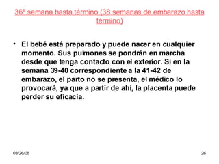 36ª semana hasta término (38 semanas de embarazo hasta término) El bebé está preparado y puede nacer en cualquier momento. Sus pulmones se pondrán en marcha desde que tenga contacto con el exterior. Si en la semana 39-40 correspondiente a la 41-42 de embarazo, el parto no se presenta, el médico lo provocará, ya que a partir de ahí, la placenta puede perder su eficacia. 