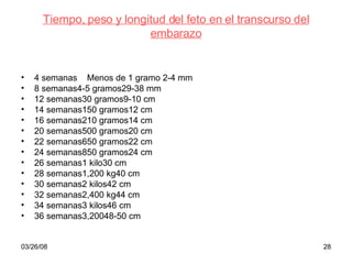 Tiempo, peso y longitud del feto en el transcurso del embarazo 4 semanas  Menos de 1 gramo 2-4 mm 8 semanas4-5 gramos29-38 mm 12 semanas30 gramos9-10 cm 14 semanas150 gramos12 cm 16 semanas210 gramos14 cm 20 semanas500 gramos20 cm 22 semanas650 gramos22 cm 24 semanas850 gramos24 cm 26 semanas1 kilo30 cm 28 semanas1,200 kg40 cm 30 semanas2 kilos42 cm 32 semanas2,400 kg44 cm 34 semanas3 kilos46 cm 36 semanas3,20048-50 cm 