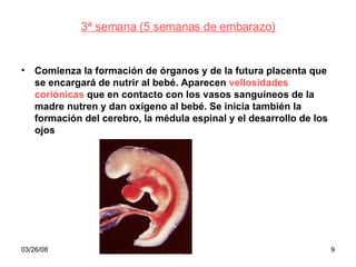 3ª semana (5 semanas de embarazo) Comienza la formación de órganos y de la futura placenta que se encargará de nutrir al bebé. Aparecen  vellosidades coriónicas  que en contacto con los vasos sanguíneos de la madre nutren y dan oxígeno al bebé. Se inicia también la formación del cerebro, la médula espinal y el desarrollo de los ojos 