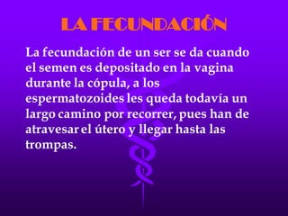 LA FECUNDACIÓN IN VITRO
