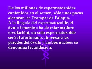 LA FECUNDACIÓN IN VITRO