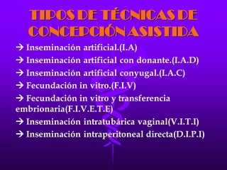 LA FECUNDACIÓN IN VITRO