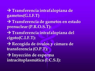 LA FECUNDACIÓN IN VITRO