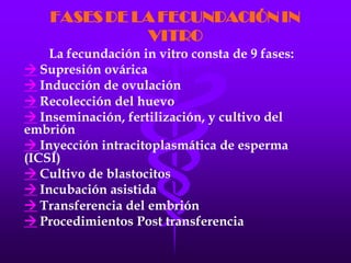LA FECUNDACIÓN IN VITRO