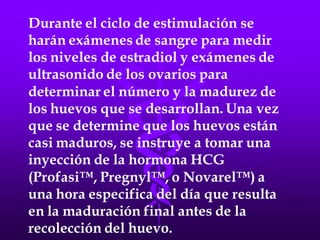 LA FECUNDACIÓN IN VITRO