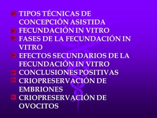 LA FECUNDACIÓN IN VITRO