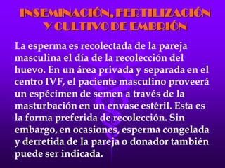 LA FECUNDACIÓN IN VITRO