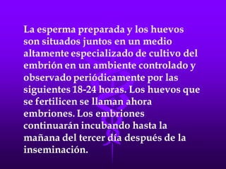 LA FECUNDACIÓN IN VITRO