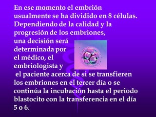 LA FECUNDACIÓN IN VITRO