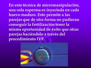 LA FECUNDACIÓN IN VITRO