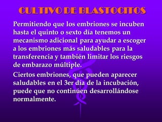 LA FECUNDACIÓN IN VITRO