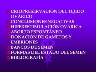 LA FECUNDACIÓN IN VITRO