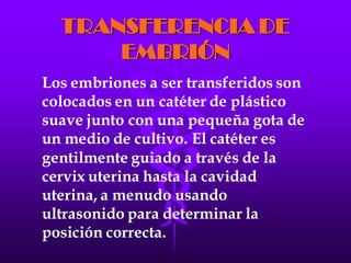 LA FECUNDACIÓN IN VITRO