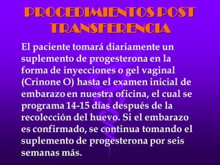 LA FECUNDACIÓN IN VITRO