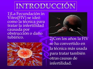 LA FECUNDACIÓN IN VITRO