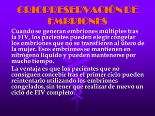 LA FECUNDACIÓN IN VITRO