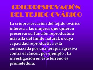 LA FECUNDACIÓN IN VITRO