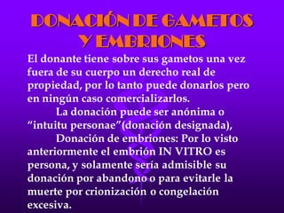 LA FECUNDACIÓN IN VITRO